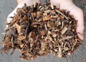 03-Woodland-Amenity-Mulch-20190206_161306.jpg