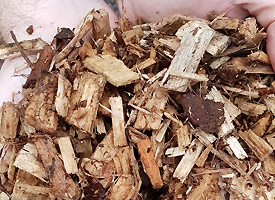 08-Hard-Woodchip-20190206_162136.jpg