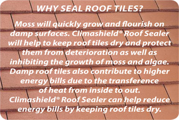 roofsealer001.jpg